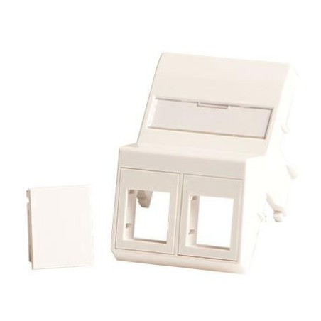 Lanview Wall Plate Angled 2x - High-Quality LVN127871 for Optimal Cable Management